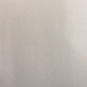 Meet your Posher, Jess